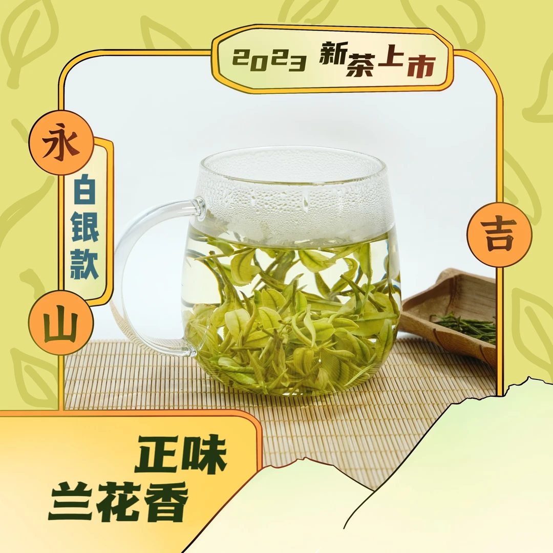 【白银款】正味兰花香2023年新茶安吉白茶昆铜明前茶春茶茶叶礼盒