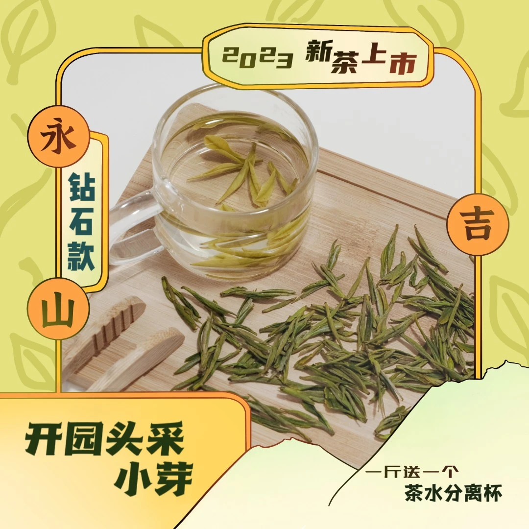 【钻石款】开园头采2023年新茶安吉白茶原产小芽特级明前茶兰花香