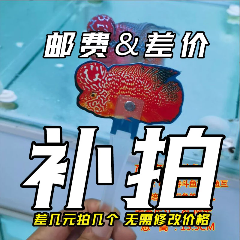 邮费/差价、定制费用专用【联系客服】