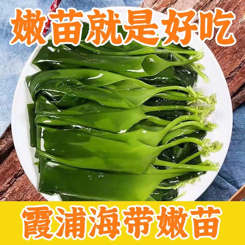 海带苗 营养鲜嫩脆爽 菜 火锅食材 农产品 凉拌产地直发美味新鲜