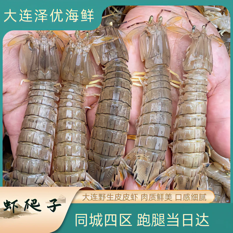 【断痒皮皮虾】保鲜保肥不保活 (大小不匀)