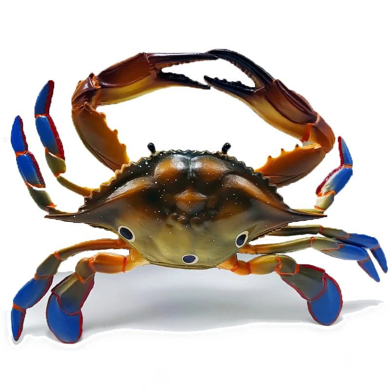 大号仿真大闸蟹模型梭子蟹海鲜螃蟹玩具摆件拍摄道具儿童认知礼物