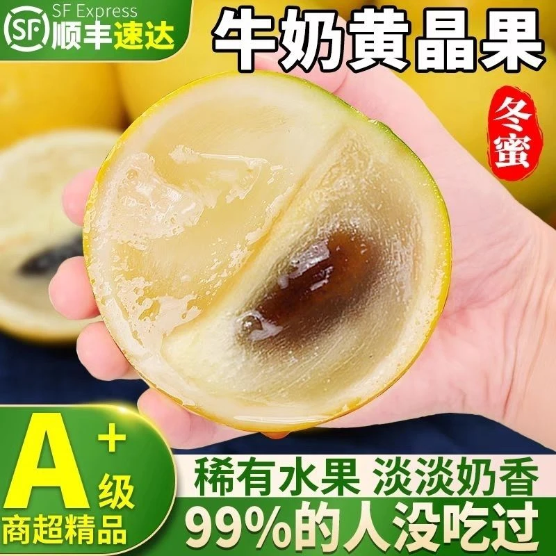 【果园直发顺丰包邮】冬蜜黄晶果鲜果黄金果蛋黄果雅美果营养香甜