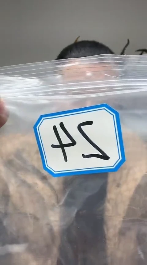 【闪购商品】工艺品根雕24