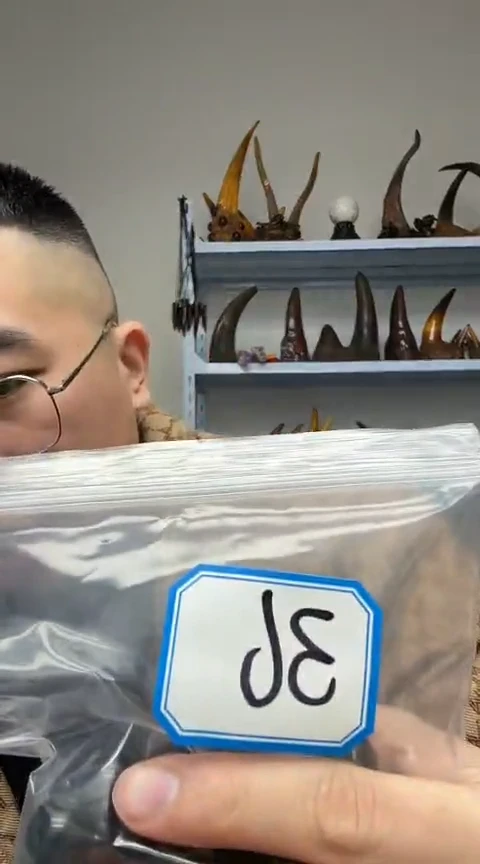 【闪购商品】工艺品根雕36