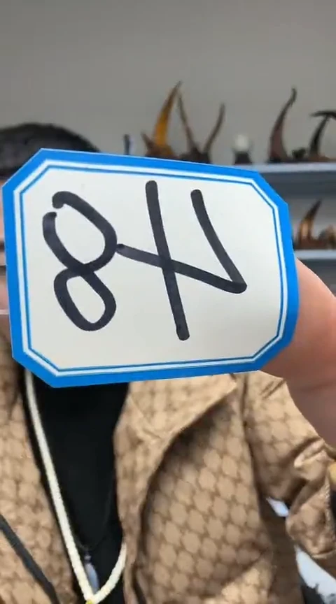 【闪购商品】工艺品根雕48