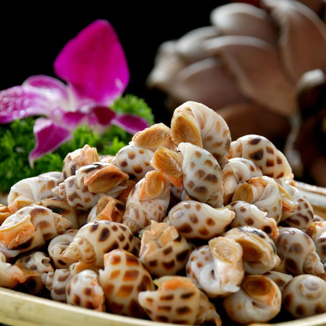 小花螺香螺鲜美新鲜