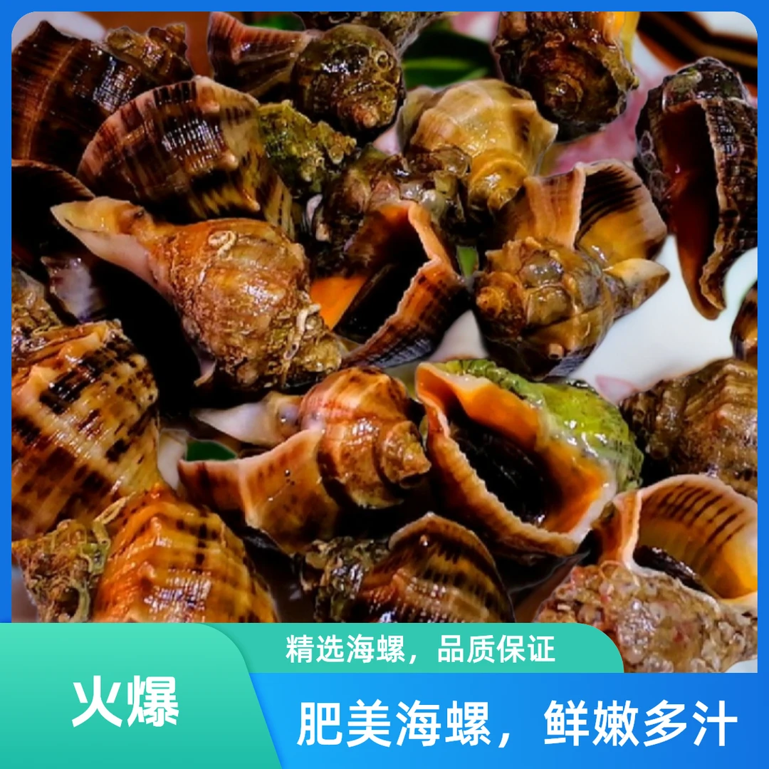 海螺新鲜夏日美食美味大海螺
