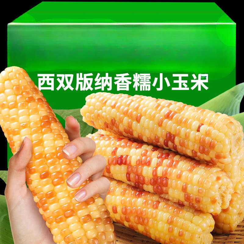 西双版纳美食小玉米新鲜花糯玉米棒真空加热即食早餐一整箱