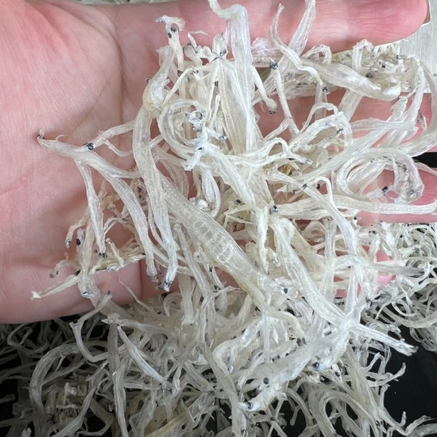 淡口银鱼干 鱼干 250克(不支持集运)