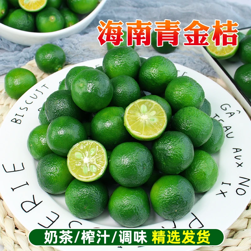新鲜青金桔正宗小青柠奶茶店专用一级酸爽多汁小金桔柠檬批发包邮
