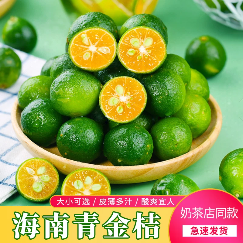 正宗海南青金桔奶茶店精选新鲜小青柠酸桔子现摘现发金桔柠檬包邮