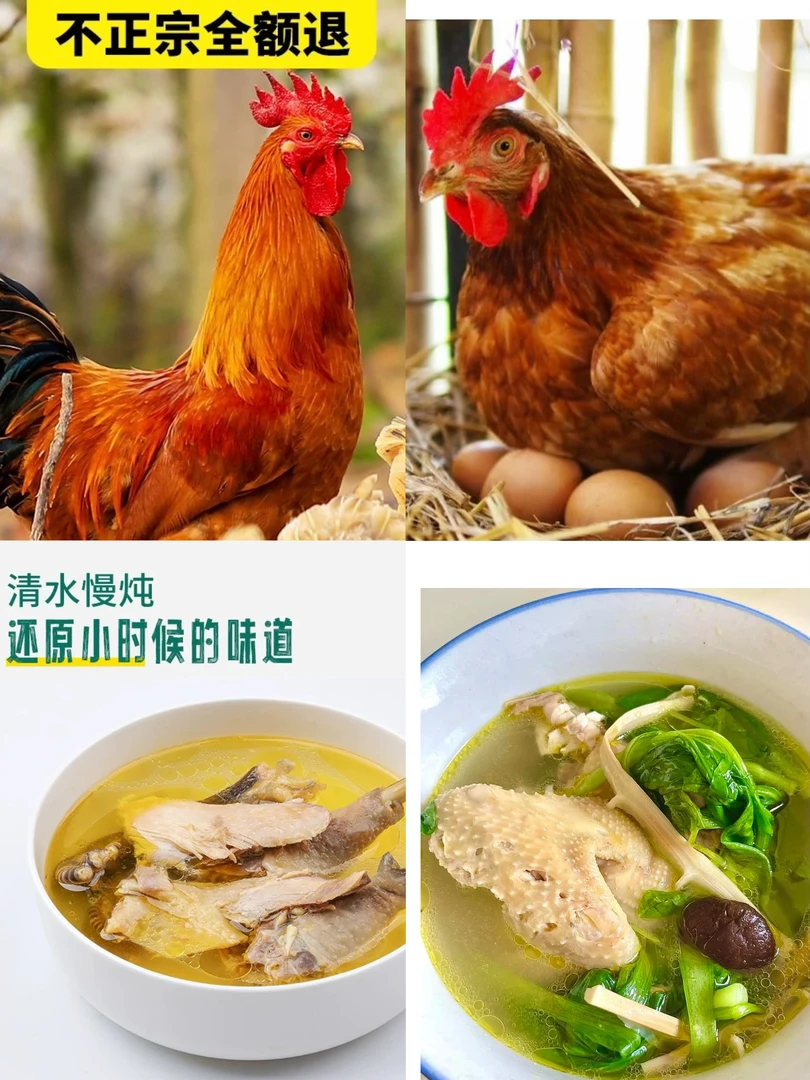 四川 农家粮食鸡，鸭，鹅