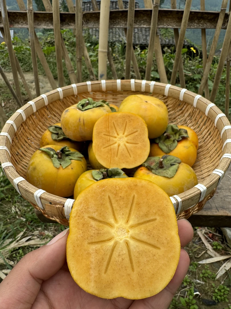 四川 本地农家脆柿子