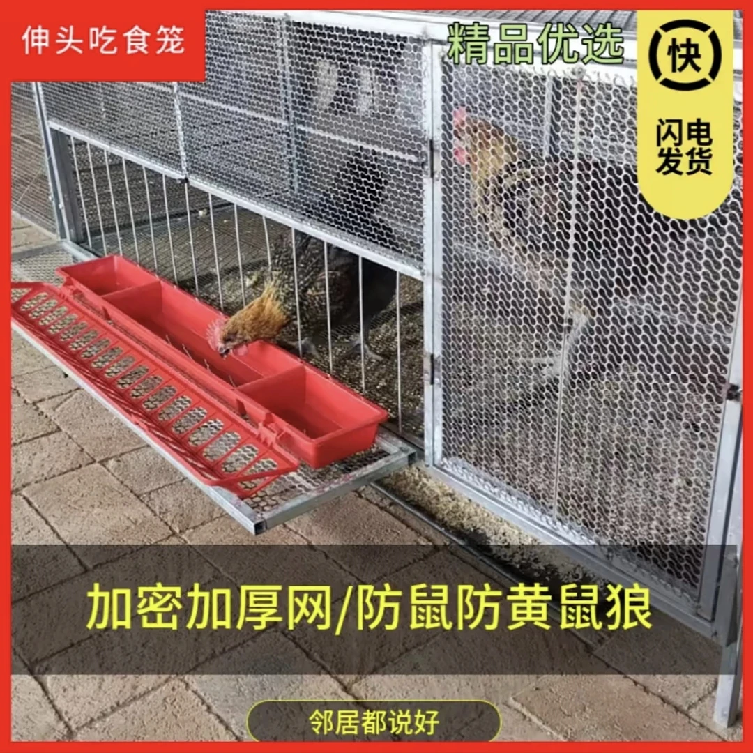 宠物笼子家用型养殖户外鸡笼子家用型笼