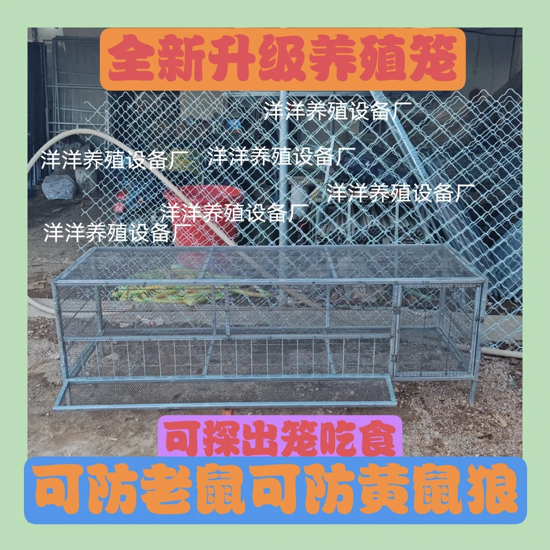 鸡笼鸭笼家用养殖户外养殖笼加厚鸡笼子鸡鸭专用笼方便饲养大空间