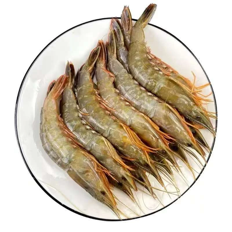 【霞浦海鲜】滑皮虾/剑虾 新鲜海捕海鲜剑虾/滑皮虾冷链空运运输