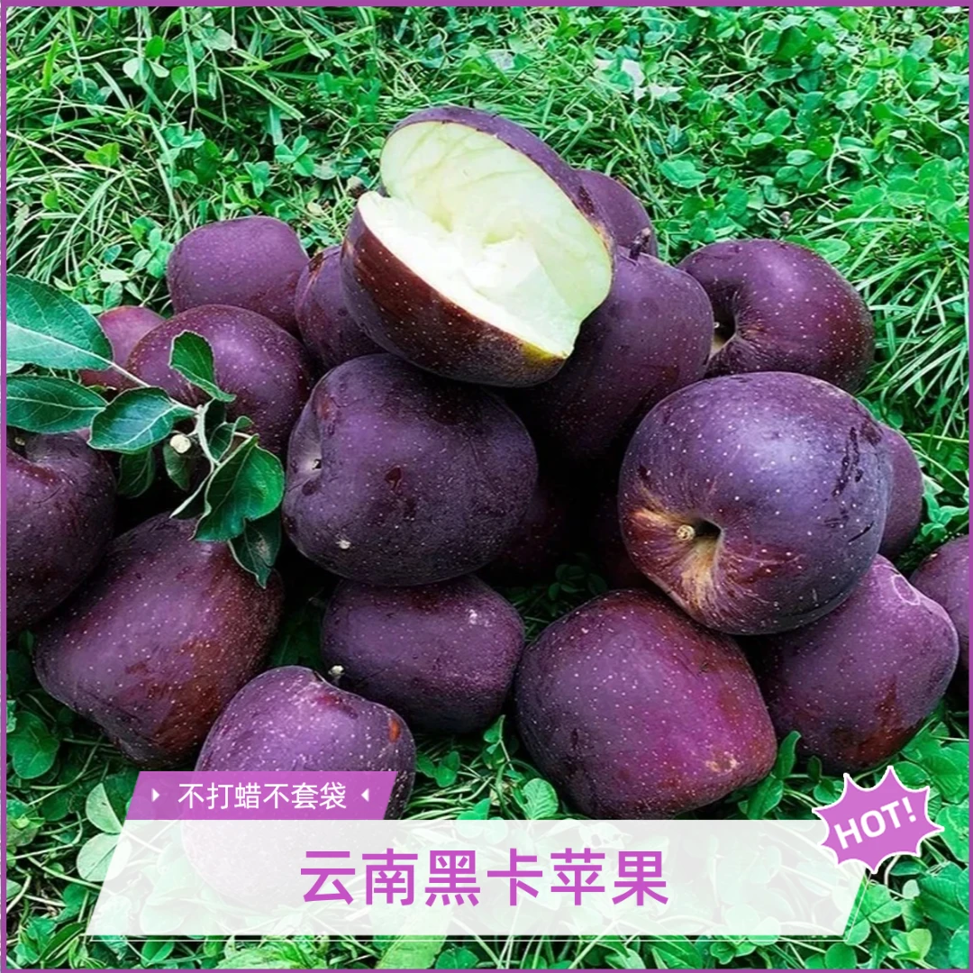 云南昭通黑卡苹果新鲜黑钻苹果自然紫色罕见纯甜多汁2-8斤装