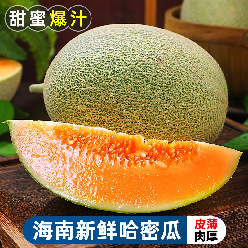 正宗海南哈密瓜2.7-8.5斤西州蜜瓜当季新鲜疆网纹玫龙甜晓蜜水果