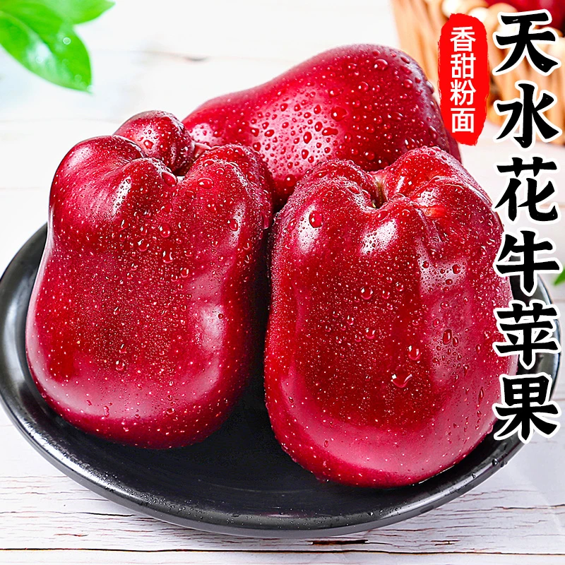【脆粉两吃】甘肃天水花牛苹果4.5斤红蛇果当季新鲜水果
