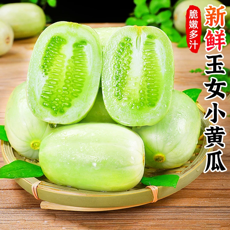 水果小黄瓜新鲜玉女黄瓜2-5斤白玉小拇指青瓜现摘生吃蔬菜包邮