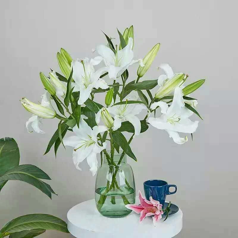 优质多头白百合1枝瓶插花一枝4朵花【默认花苞，自选满50元起送】