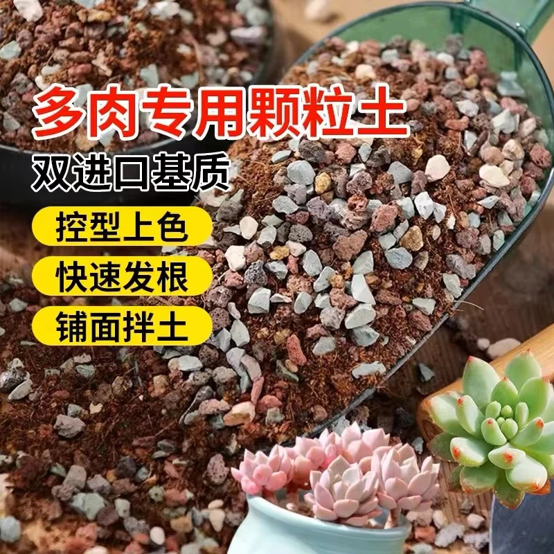 多肉土专用50%颗粒土营养土植物进口泥炭拌船长花园铺面石颗粒土