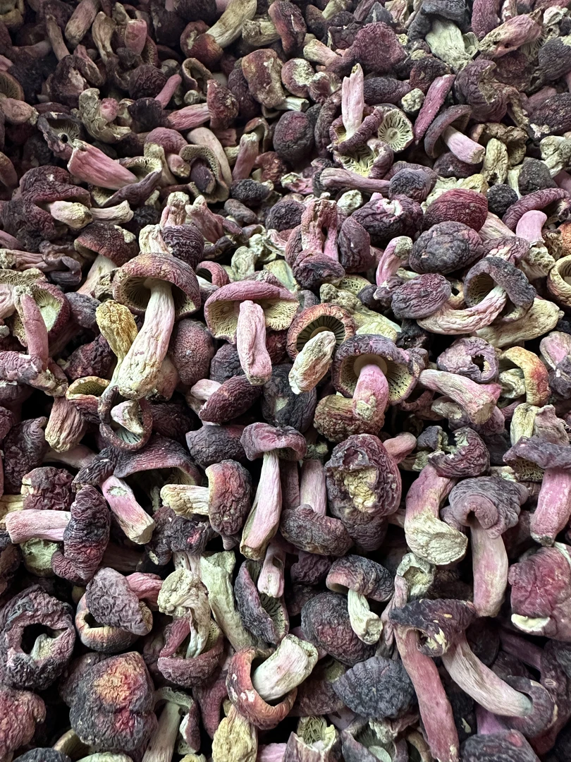 【菇丁统货】河南野生正宗红菇大菇丁干货 炖汤必备红菇250-500g