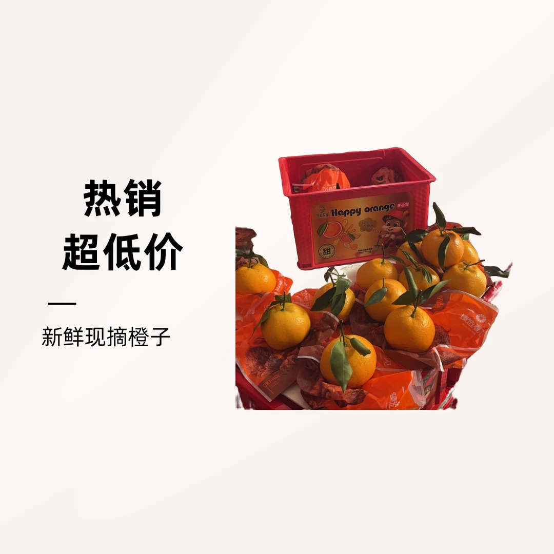 四川春见耙耙柑1000克【好东西】