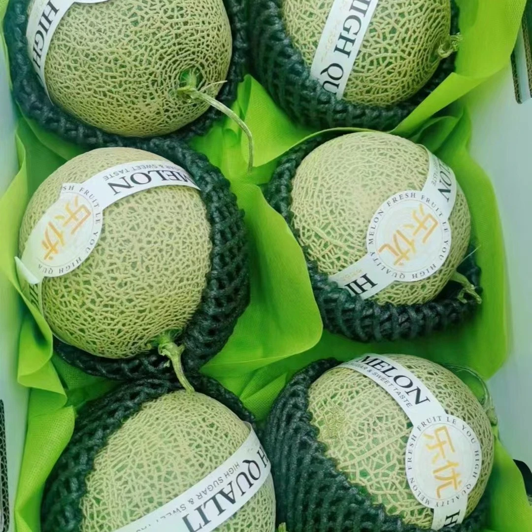 玫陇蜜瓜1个2.5斤左右