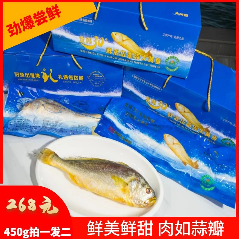 瓴岱域象山深海海捕野驯半野生原制大黄鱼新鲜冷冻蒜瓣肉鲜活