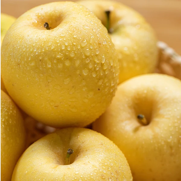 山东维纳斯苹果应季水果新鲜脆甜多汁果园现摘现发