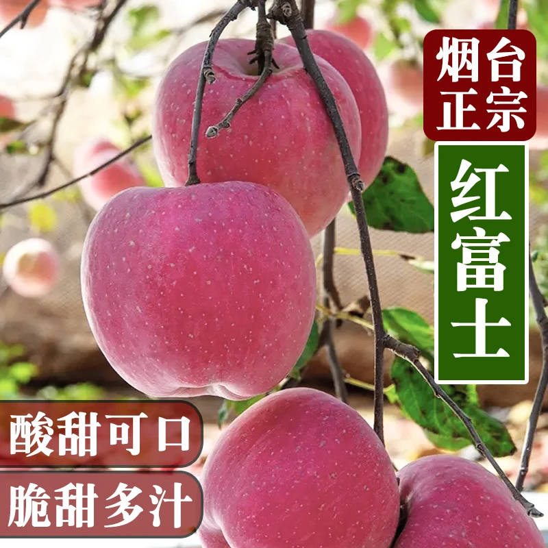 正宗山东烟台红富士苹果水果整箱高品质条纹片红脆甜多汁酸甜可口