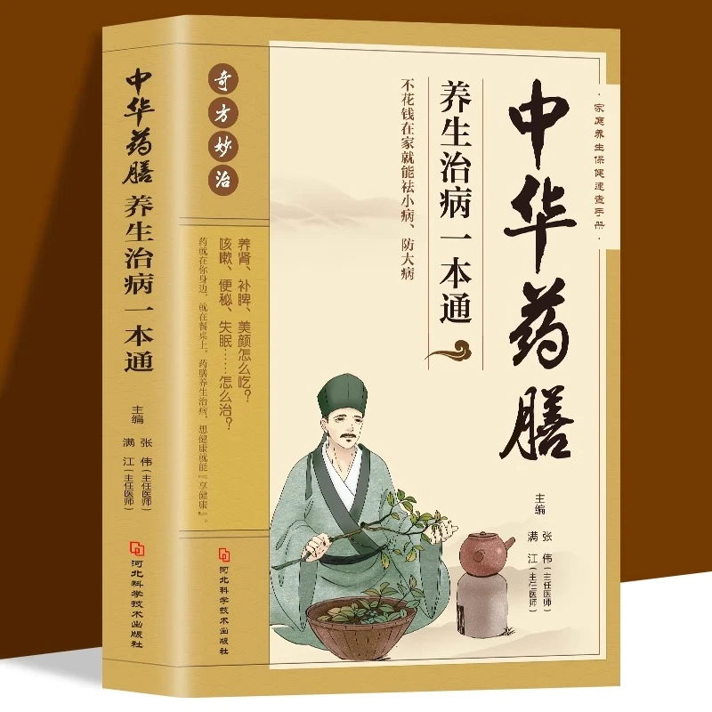 中华药膳养生治病一本通 百病食疗大全中医养生书籍