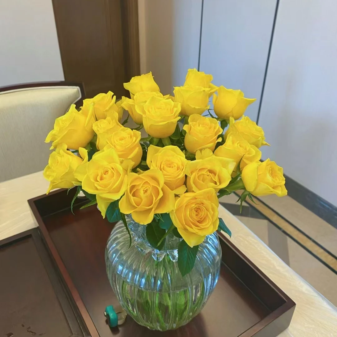 月华玫瑰/方德荷冠（65cm/好养/好开）【两单发货】