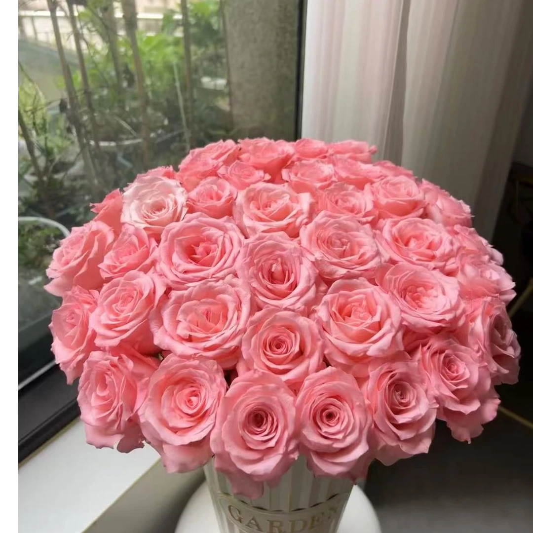 【彩花驿站】戴安娜玫瑰（直播间展示为准/10％损耗无售后介意勿拍）