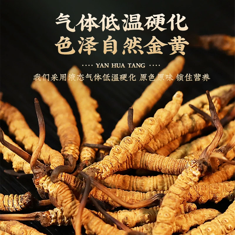 头期虫草正品冬虫夏草 虫草滋补品干货泡酒送礼
