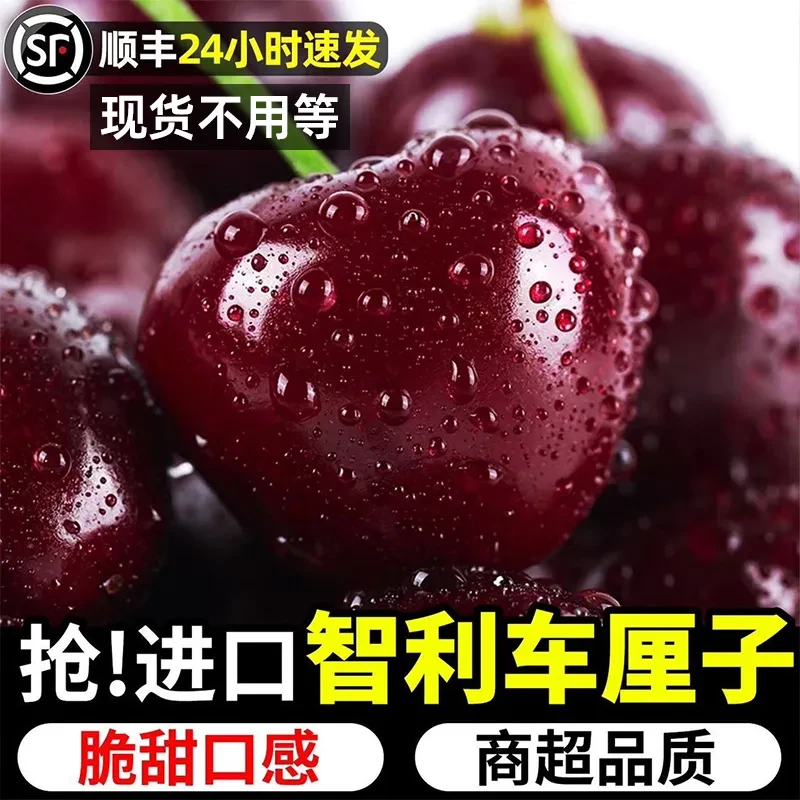 年货节专享优惠【原箱5斤】智利车厘子顺丰包邮水果礼盒装樱桃水果5