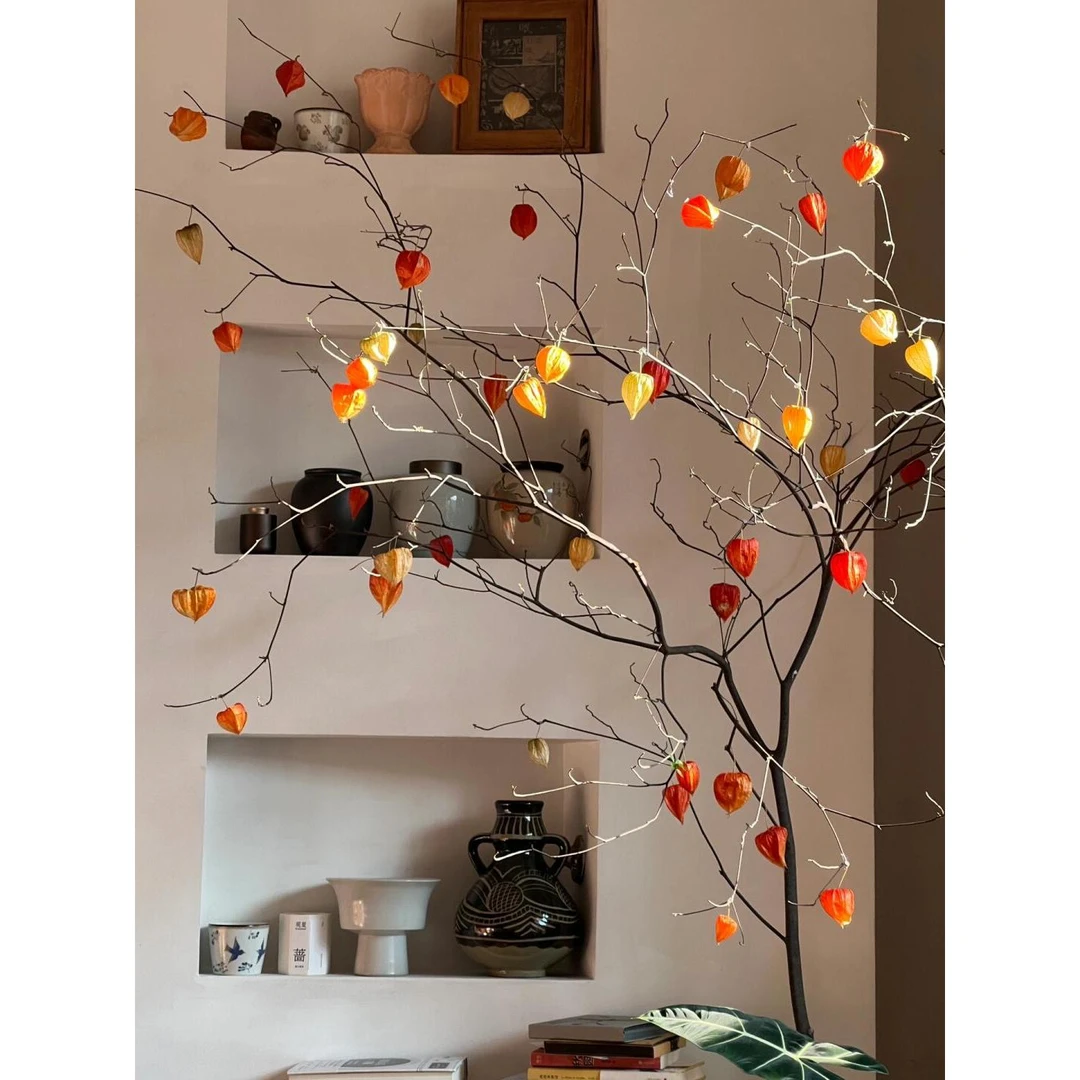 干支吊钟酸浆果进口花材室内空间装饰顺丰发货