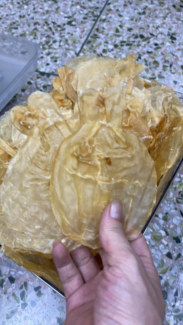 六妹鱼胶 广东汕头 蜘蛛胶 250-500克