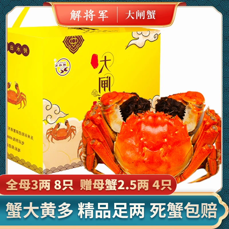 X【活蟹】【解将军牌】精品大闸蟹 全母蟹3.0两8只