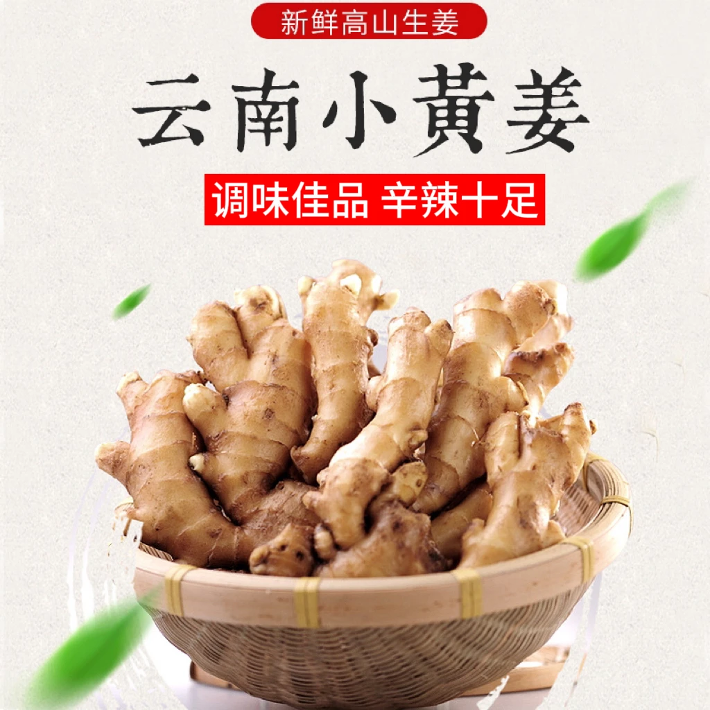 碎姜个小实惠正宗云南小黄姜适合泡脚洗头姜疗用和普通姜一样香辣