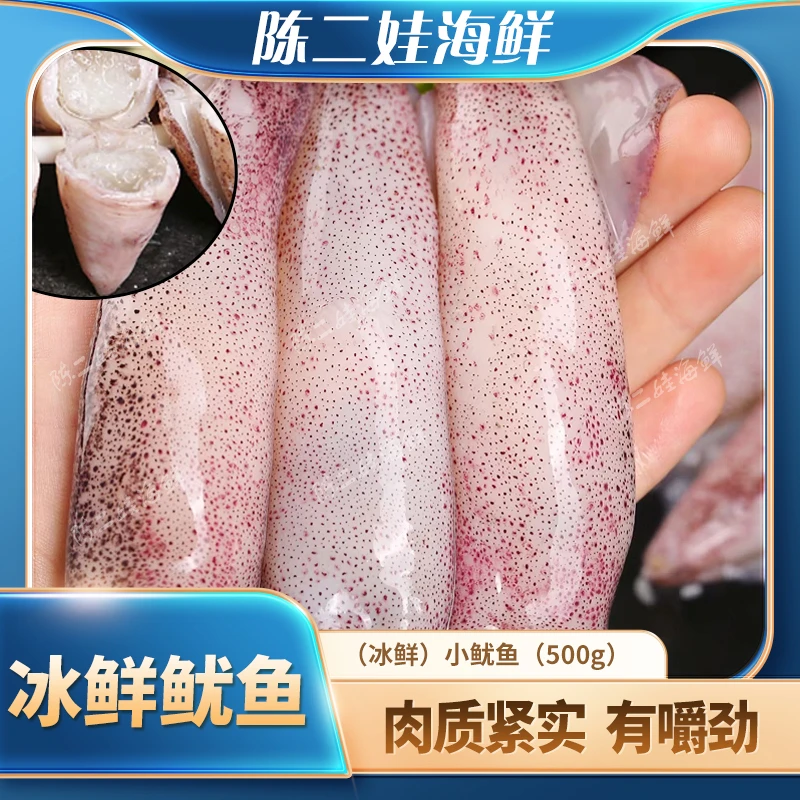 （冰鲜）小鱿鱼（500g）
