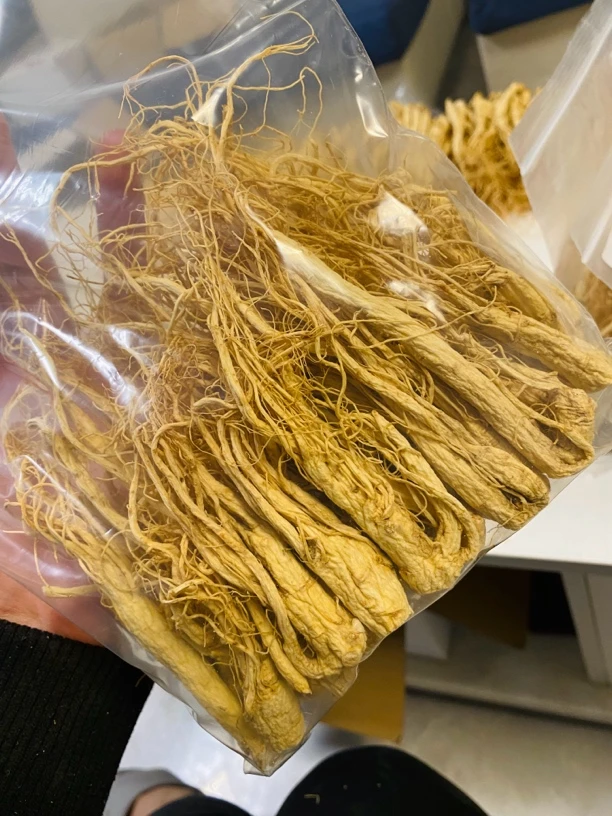 新货上新长白山人参丁须