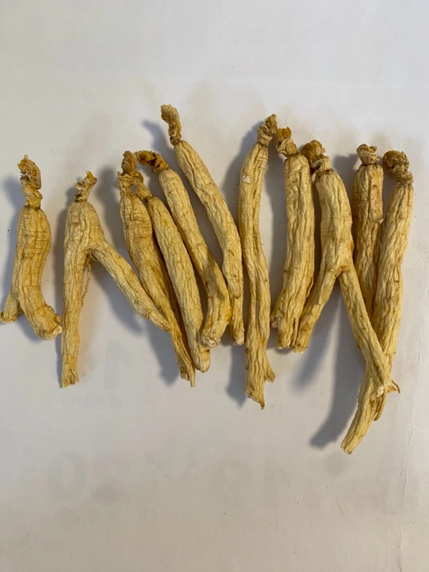 ZOCI长白山人参生晒参棒干货4克左右正宗东北人参滋补养生佳品