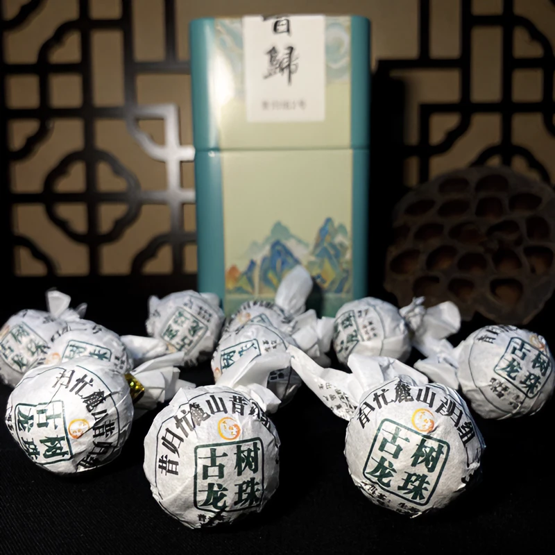 【昔归组2号】2021年昔归忙麓山挑采古树龙珠