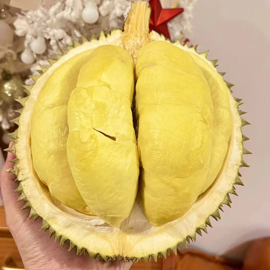 【泰金钻AA级长柄干尧】泰国空运树熟榴莲保四房顺丰