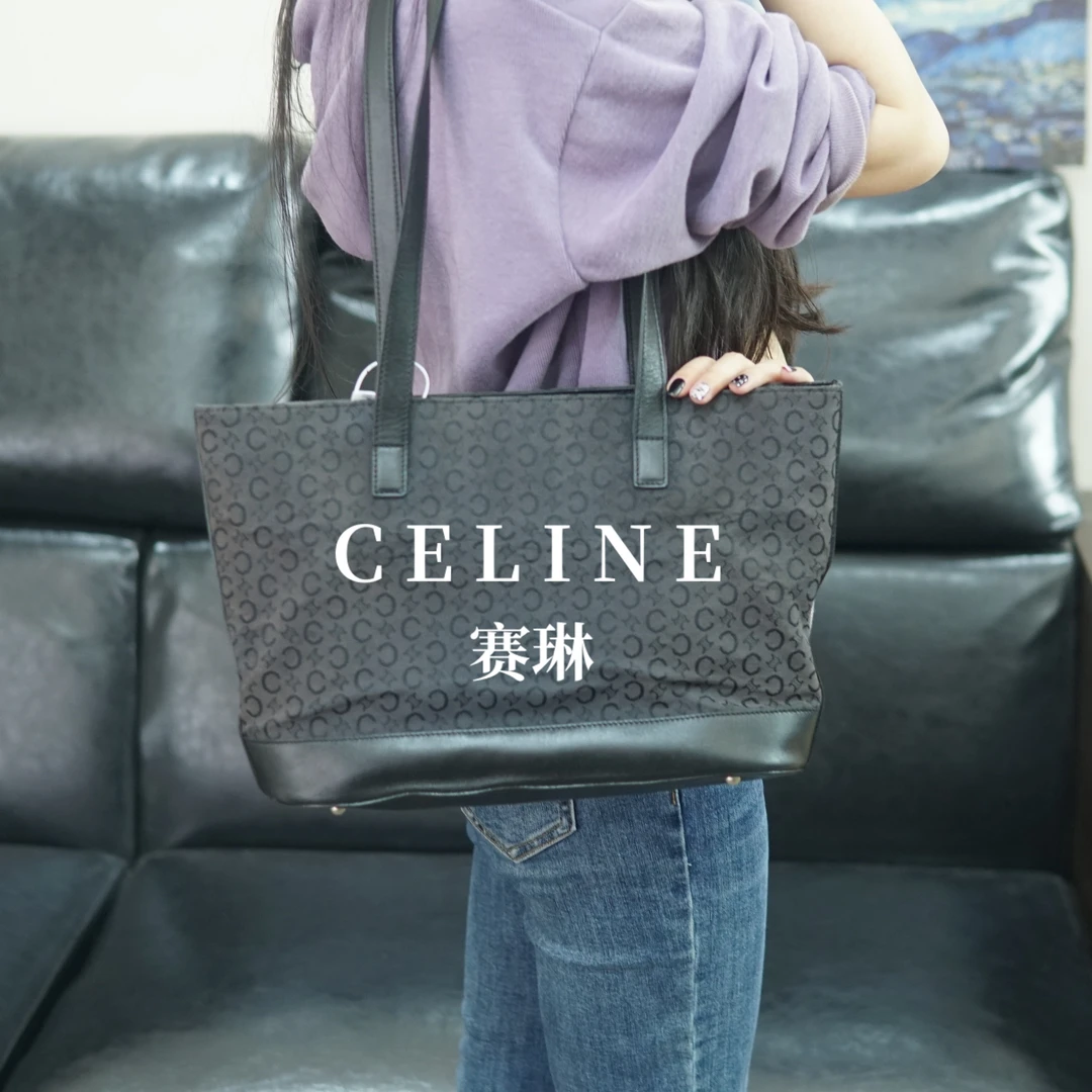 95新 Celine/思琳 单肩包/瑟琳/XG10501031/1031
