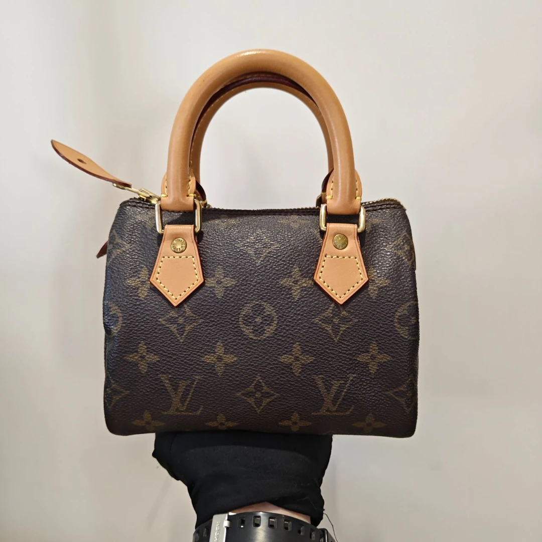 95新 LouisVuitton/路易威登 Speedy 枕头包（小）/jj03305945