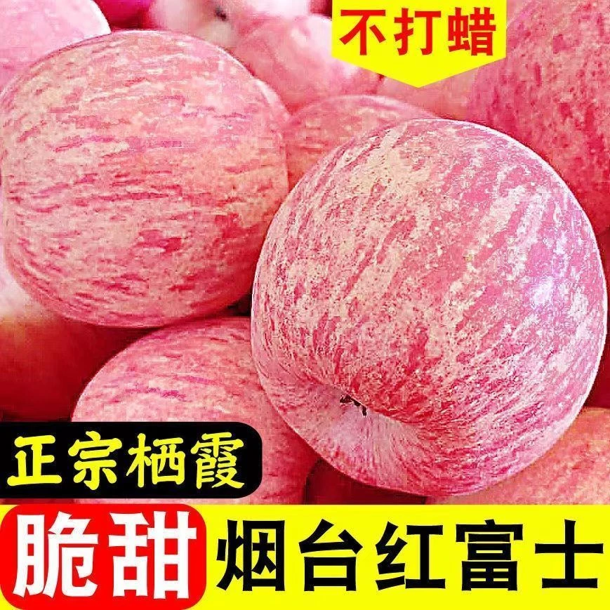 【一人领一箱】正宗山东烟台栖霞红富士苹果应季水果新鲜10斤5斤2